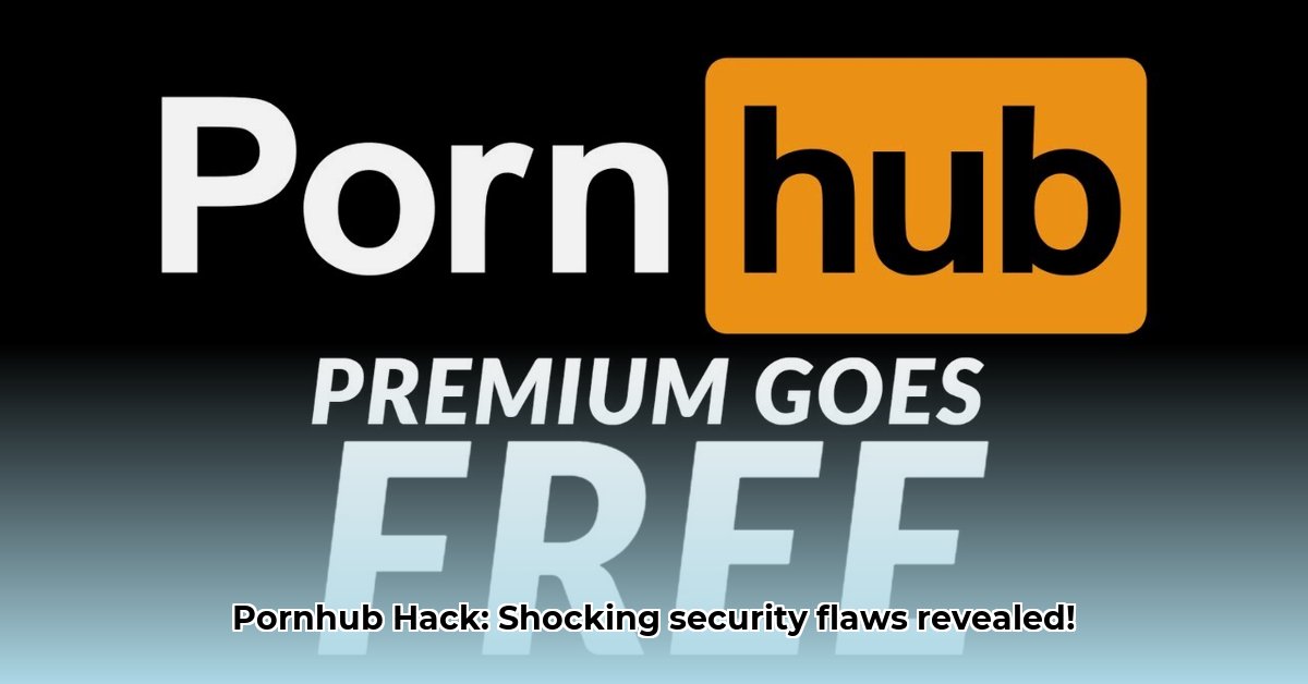 porn-hub-hack